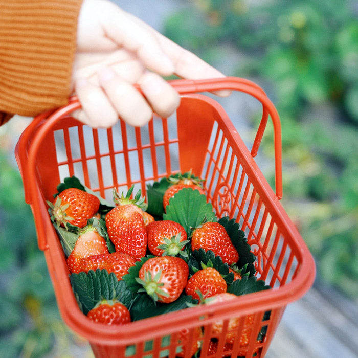 1 pieza - Jumpsuit Cutest Hunk Ever - Mouse Apparel Dev